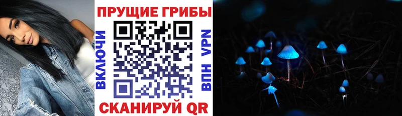 маркетплейс клад  хочу   Ясногорск  Псилоцибиновые грибы мицелий 